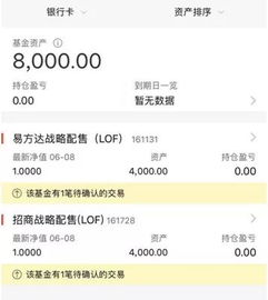 战略配售这个基金里面主要都是投哪些企业啊？