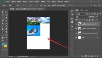 怎样将多张图片用photoshop软件排版到一张A4版面上 