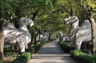 记忆南京历史 明孝陵石雕 