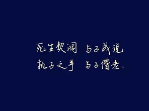 誓 执子之手,与子偕老 每日一字