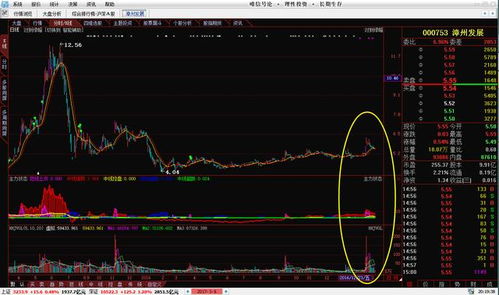 视频聊天室为什么再讲股票知识 他们图什么啊