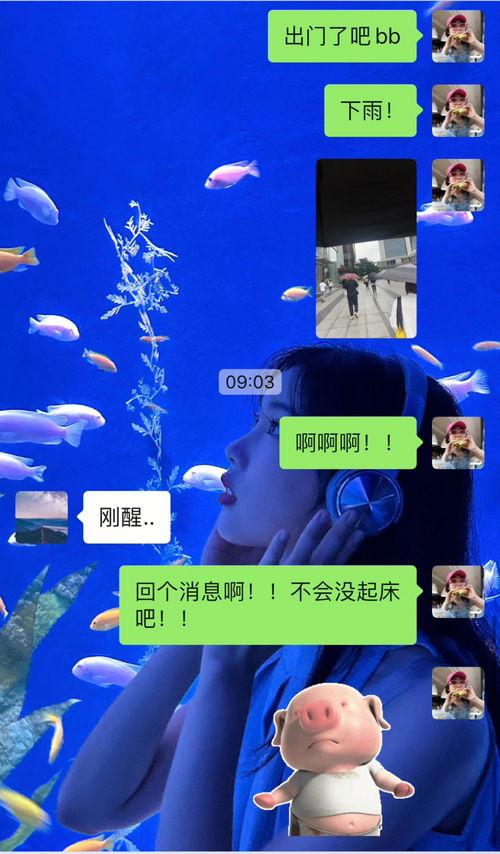 狮子男的无所谓和天秤女的要强大pk 