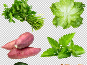多种蔬菜素材蔬菜集合大全蔬菜免扣图片 psd模板下载 77.20MB 实物大全 自然 