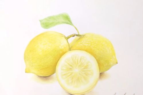 这么清新的柠檬,你喜欢画吗