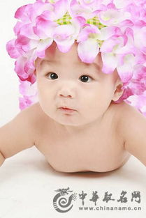 婴儿起名 2012年龙宝宝如何取名字 