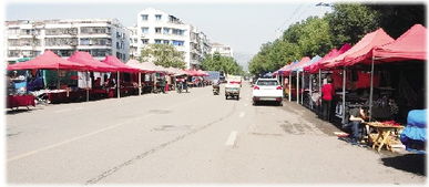 花鸟市场外延,双休日成马路市场 