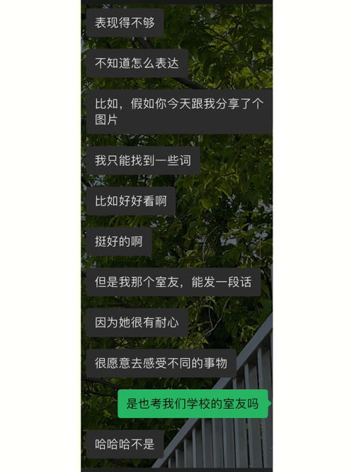 crush说这话是什么意思Le 