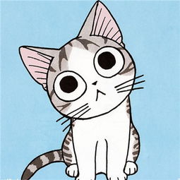 甜甜私房猫卡通头像可爱2018 超萌的甜甜私房猫小奇头像图片