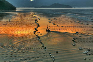 霞浦海边景点推荐(霞浦有免费停车场吗现在)