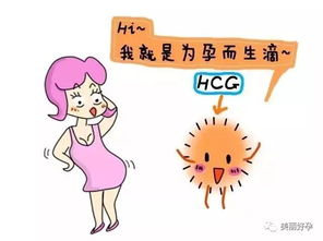 如何通过看HCG判断宫外孕 早排除早安心