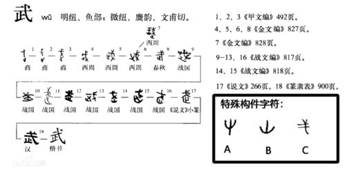 武字本意是什么,甲骨文揭开秘密,根本没有止戈为武之意