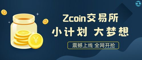 exczc*，这个交易所我看它的交易区写的CZDT和AMTC，这是什么币啊都？