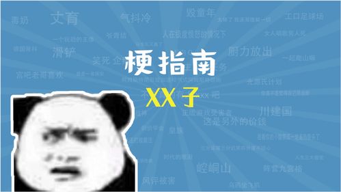 311是什么梗(311是什么意思)