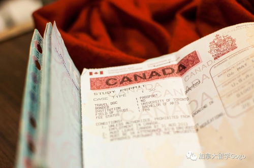 加拿大大小签证代表什么,如何区分 