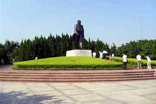 莲花山公园？深圳莲花山公园在哪