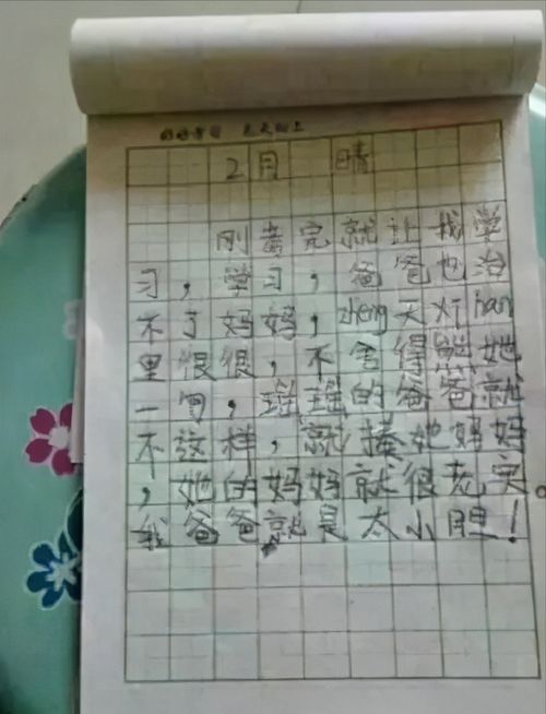 三年级作文我第一次学车三百字