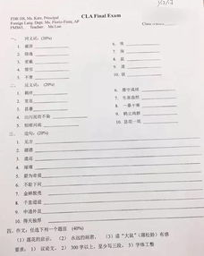 纽约高中的中文试卷,你会不会做 网友 我可能学了假中文 