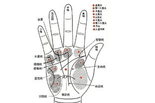 手相中出现这样特征的人是非常容易吃亏,也是非常容易被骗的 