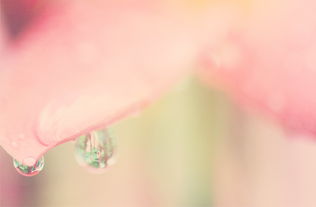 若雨霏霏与霁月朗朗，若雨霏霏对应的词语是什么