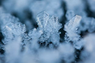 雪花的雪，探寻其独特之美与意境，雪花的雪怎么写拼音