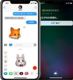 iphone11通话音量怎么调大，苹果11电话铃声提醒变大