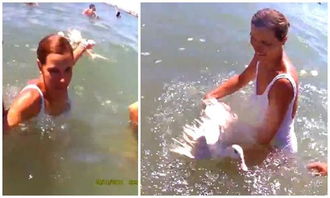 西班牙小镇庆祝夏日扔活鸭 涉虐待动物引争议