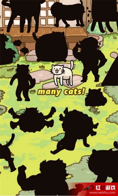 Cat World 