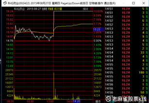 股票增持什么意思