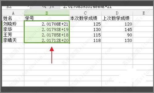 表格里输入数字后出现乱码怎么办  第2张