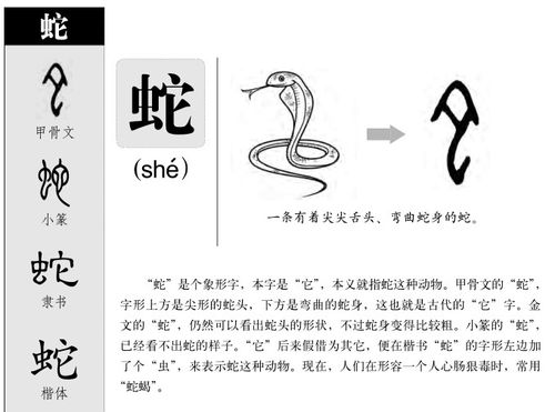 蛇的部首 蛇的拼音 蛇的组词 蛇的意思 