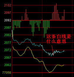 股市大盘中的走势图有两条线，一条白线和一条黄线，分别代表什么意思？