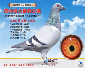 金伟鱼行 中信网铭鸽展厅 www.ag188.com 