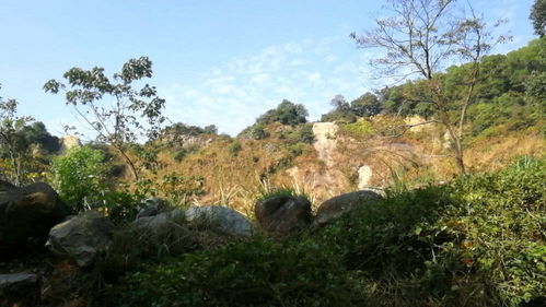 广州有座 名字 与 实际 不相符的山,山上处处是圆滚滚大石头
