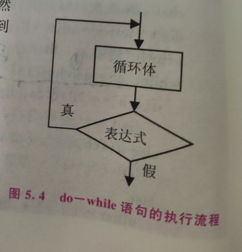 while语句的用法(while(1)和while(0))