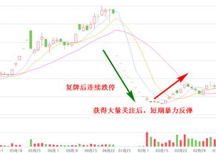 如何判断一只股票是妖股