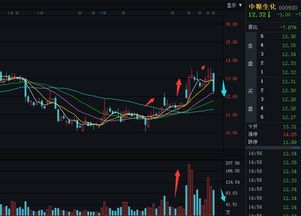 根据哪个指标判断是大盘股、小盘股、蓝筹股、绩优股？