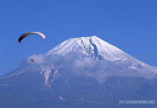 去日本需要什么手续和证件(图2)