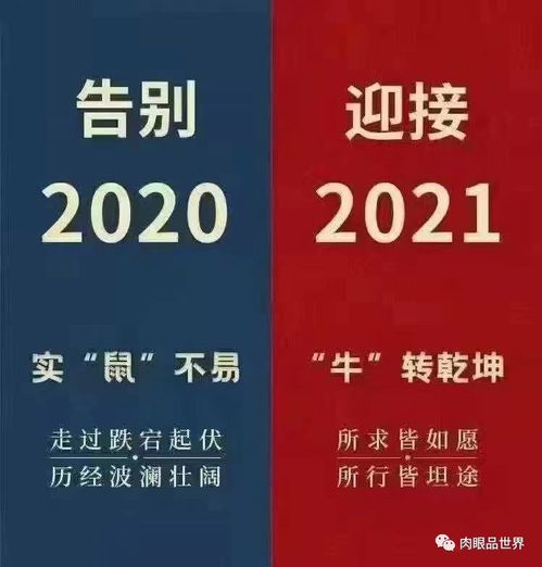 告别2020年迎接2021年的句子-图1