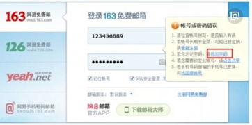 怎么找回163邮箱账号密码（找回163邮箱帐号和密码） 第1张