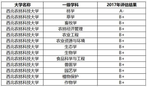 八大美院，985，211综合大学，该如何选择好