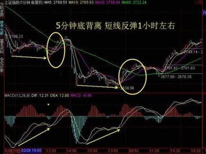 我要选一些波动大的股票选股器如何设定？