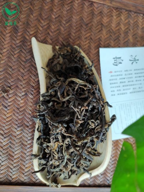 内行人揭秘 普洱散茶与饼茶到底买哪个好 你是否也被忽悠过