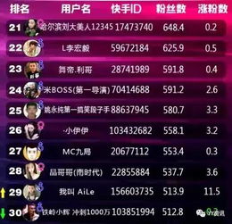 快手Top前30排行榜 迎第8位破千万粉丝网红,陈山被超越 快手网红 姚永纯沈阳街头被打,身旁兄弟无一援助,仙洋宣布再次退网 