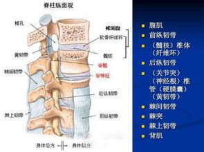 腰突手术要谨慎,试试这个小方法,几天就能消除腰间盘突出疼痛 