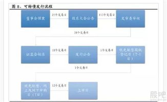 发布发行可转债到发行一般多久