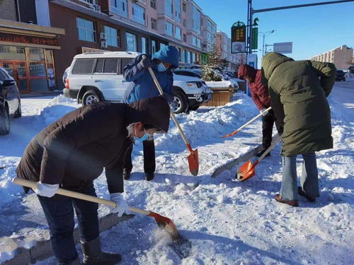 清雪实践活动心得体会