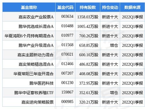 2022新希望股票为什么天天跌