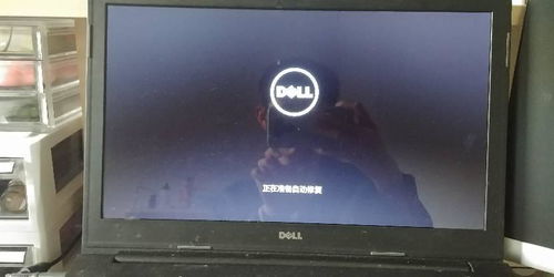 戴尔笔记本强制关机后 无法正常开机 请看图 