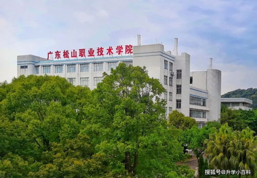 成人自考专业广东大学排名,广东成考本科师范院校都有哪些？(图1)