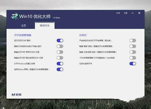 win10优化大师设置方法